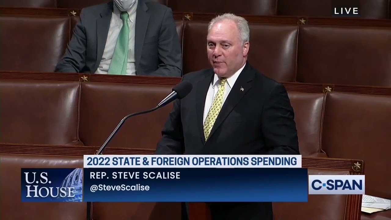House Republican Whip Steve Scalise speaks on the Hyde Amendment